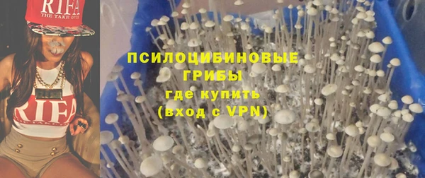 прущие крисы Алзамай